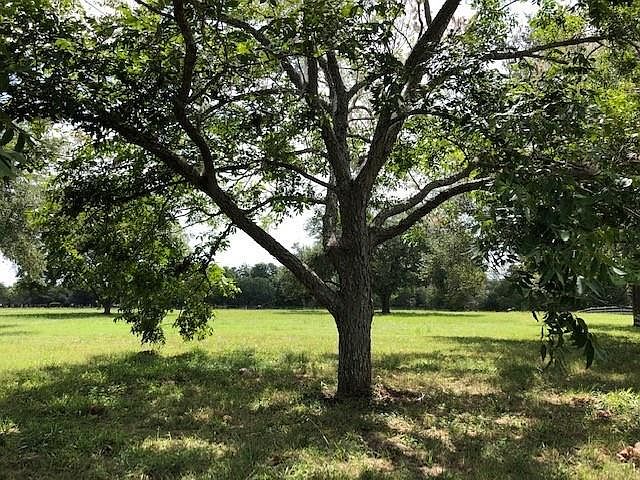 1st image of 31618 Churchill Field Ln