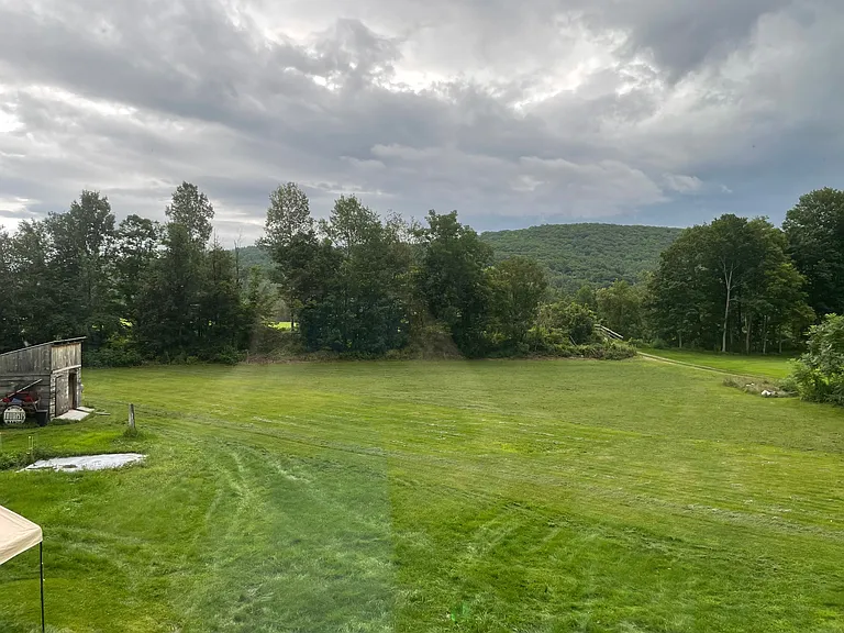 View from Dining windows