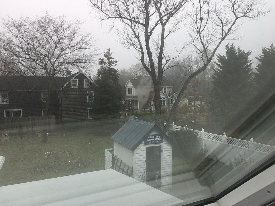 Backyard from bedroom skylight