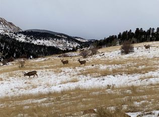 64 Penrose Cir, Cripple Creek, CO 80813