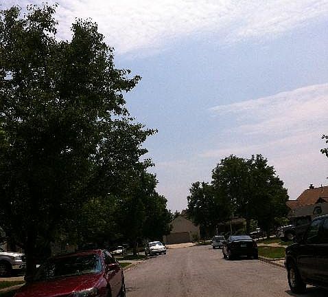 5th image of 2709 Rose Bush Ct