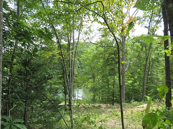 5th image of 0 Chaney Ridge Rd