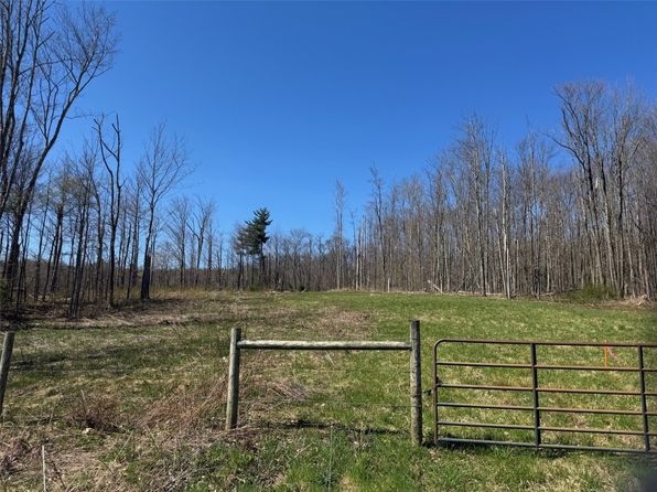 1229 & 1253 Trim St, Windsor, NY 13865