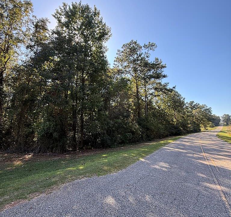 1st image of 0 County Road 310 #308