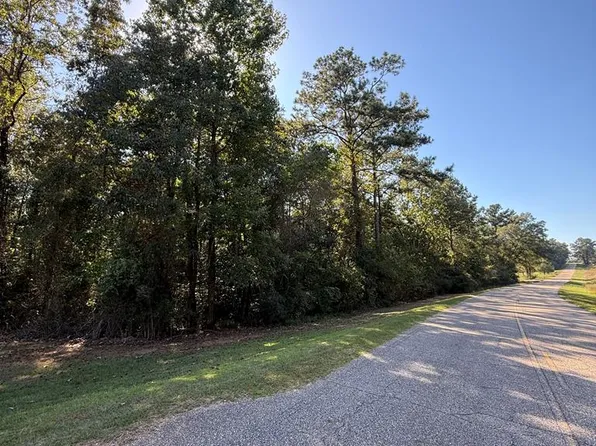 0 County Road 310, Jack, AL 36346