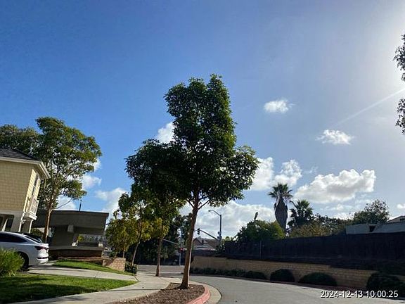 Exterior Neighborhood (street photo)