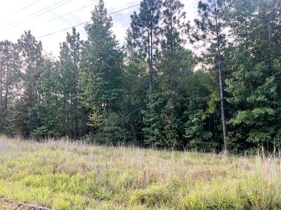 4 Lawler Rd, Lumberton, MS, 39455