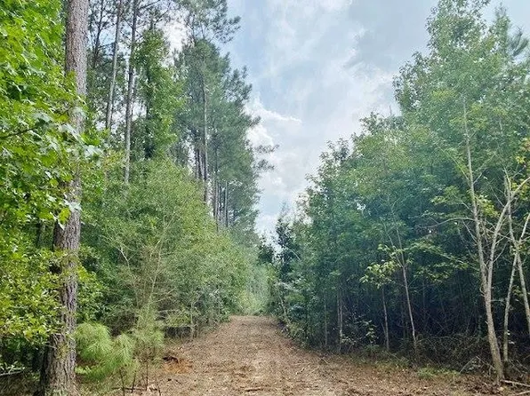 0 Boxwood Ln SE, Summit, MS 39666