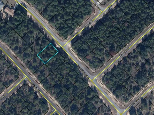 61 Shenandoah Blvd, Chipley, FL 32428