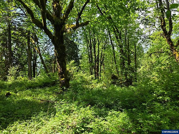 4th image of LOT 500 Lewis Cemetery Rd