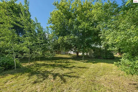 from the far back corner of the backyard