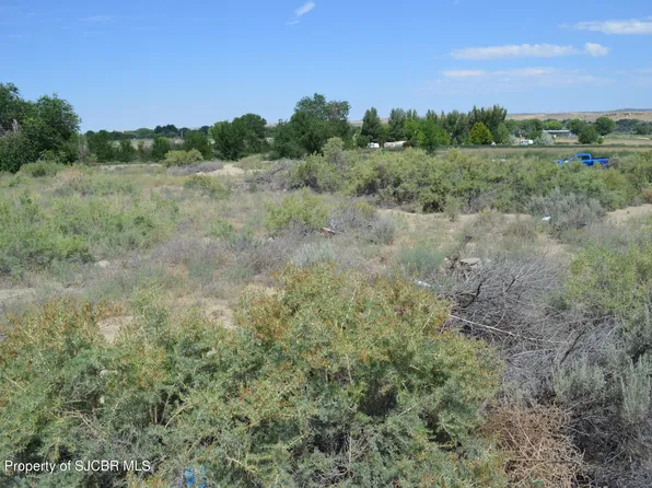 Road 4990, Bloomfield, NM 87413