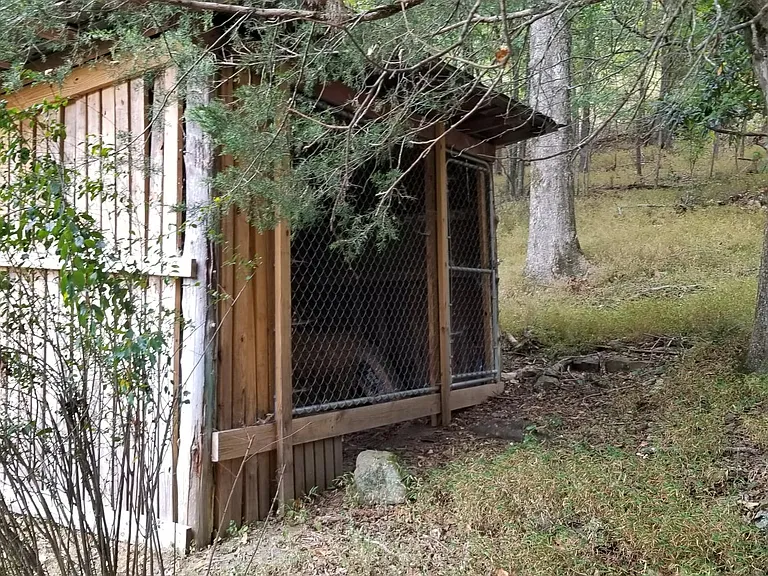 580 Raulstontown Rd — Photo 9