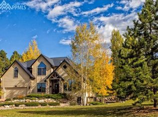 790 Skyline Dr, Woodland Park, CO 80863