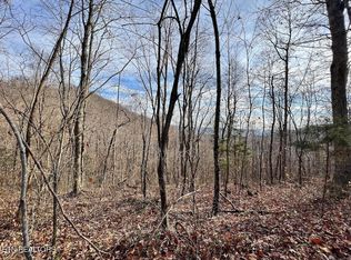 392 Squirrel Flat Rd, Jamestown, TN 38556