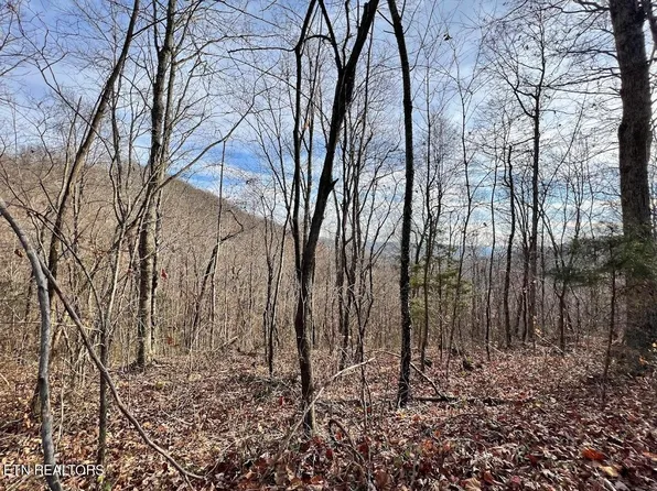 392 Squirrel Flat Rd, Jamestown, TN 38556