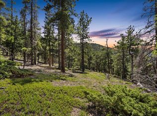 11002 Twin Spruce Rd, Golden, CO 80403