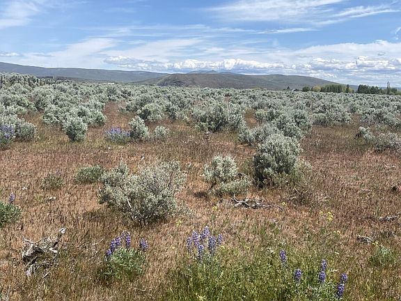 4th image of 5 A Lester Road