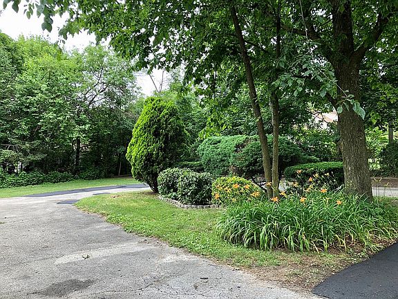 backyard  U shaped driveway