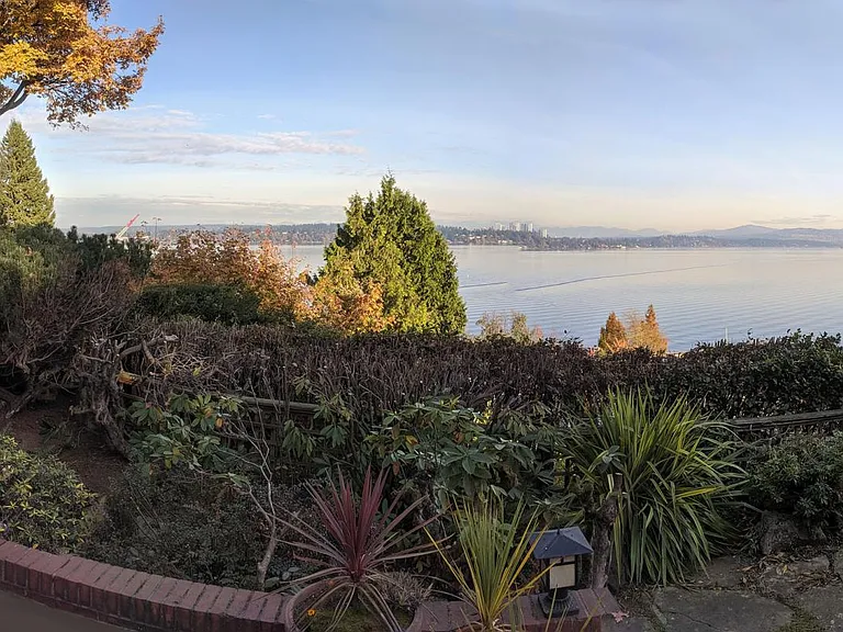 The view over back garden of lake Washington, Bellevue, Mercer island, and Mt Rainier.