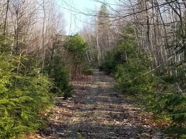 Lot 20 Hillside Drive, New Vineyard, ME 04956
