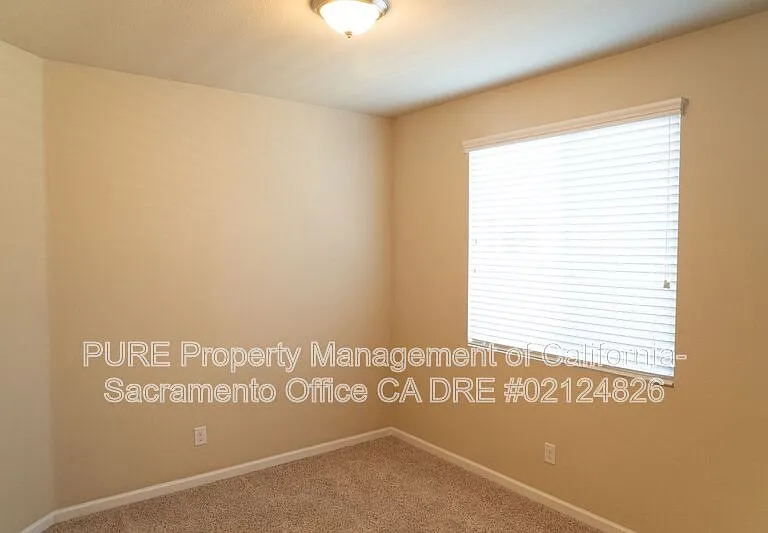 5572 Amnest Way — Photo 8