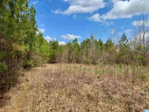 Scroggins Dr, Tallassee, AL 36078