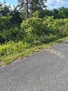5th image of LOT 51 Mary Alice Way