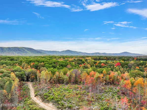 Davis Rd, Sunbright, TN 37872