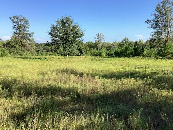 500 Pond Creek Rd, Luverne, AL 36049