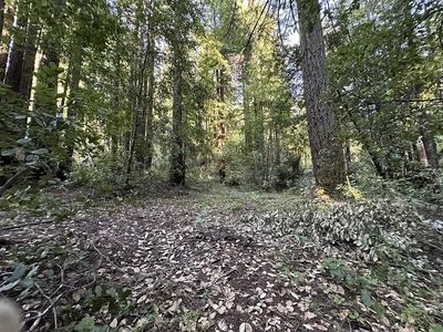 0 Logan Creek Rd, Boulder Creek, CA, 95006