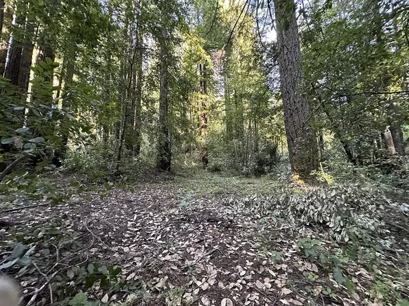 0 Logan Creek Rd, Boulder Creek, CA 95006