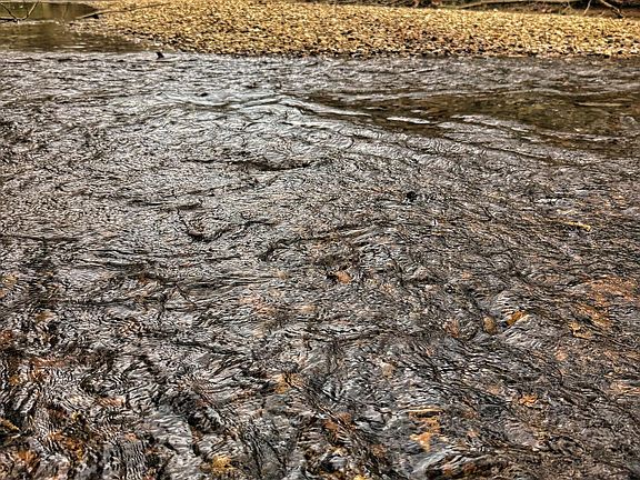 4th image of 4068 Six Mile Rd