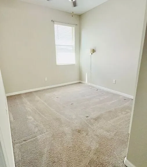 8897 Flourish Dr — Photo 13