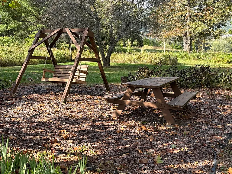 Swing and picnic table in backyard, shaded by oak trees.