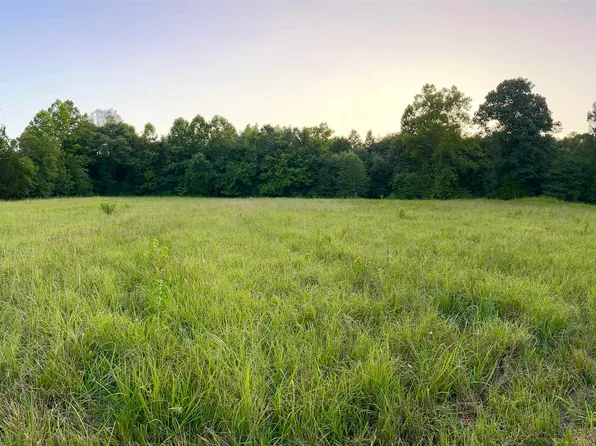 (undisclosed Address), Quitman, AR 72131