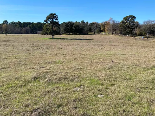 Silk Tree Rd Lot 1, Gilmer, TX 75645