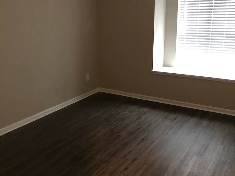 5204 Amity Springs Dr — Photo 5