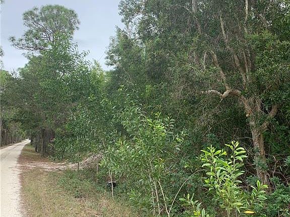 2nd image of 16931 James Walter Ln