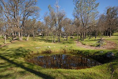 4th image of 1990 Quartz Creek Ln