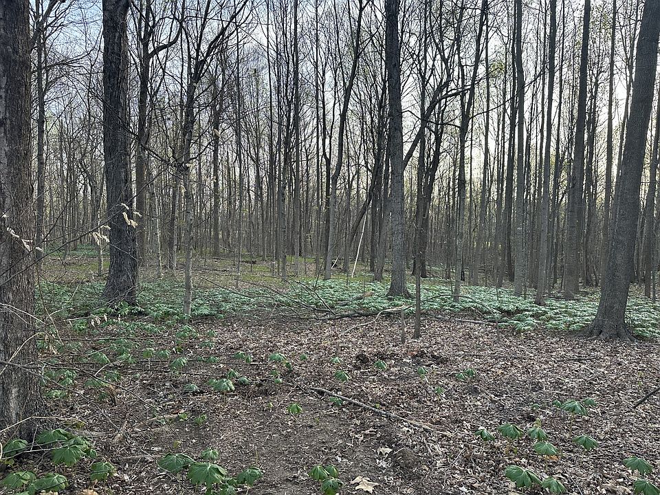 1st image of 2173 Highway 259 Lot 10