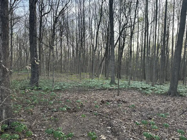 2173 Highway 259 Lot 10, Portland, TN 37148