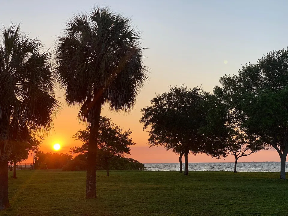 Sunrise view over Tampa Bay