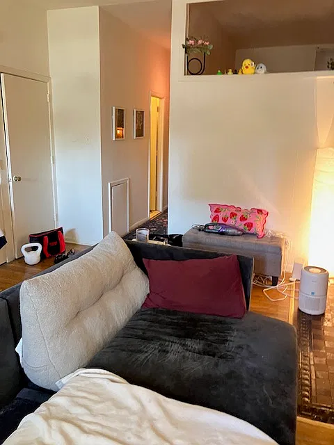1 bed, 400 sqft, $1,250 — Photo 4