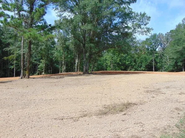 1005 Tarver Ln, Wesson, MS 39191