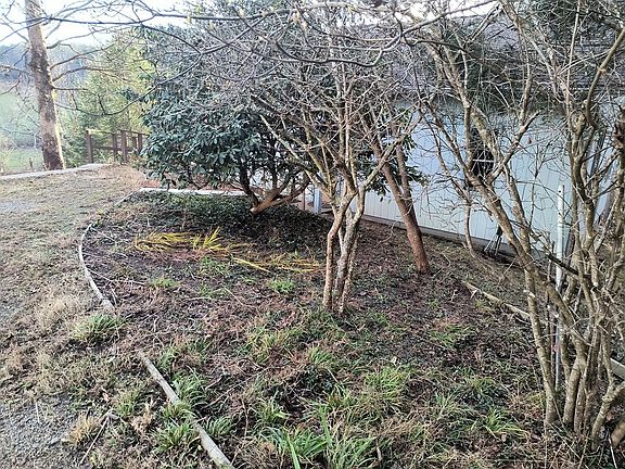 30th image of this home