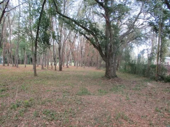 15115 N 20th St, Lutz, FL 33549