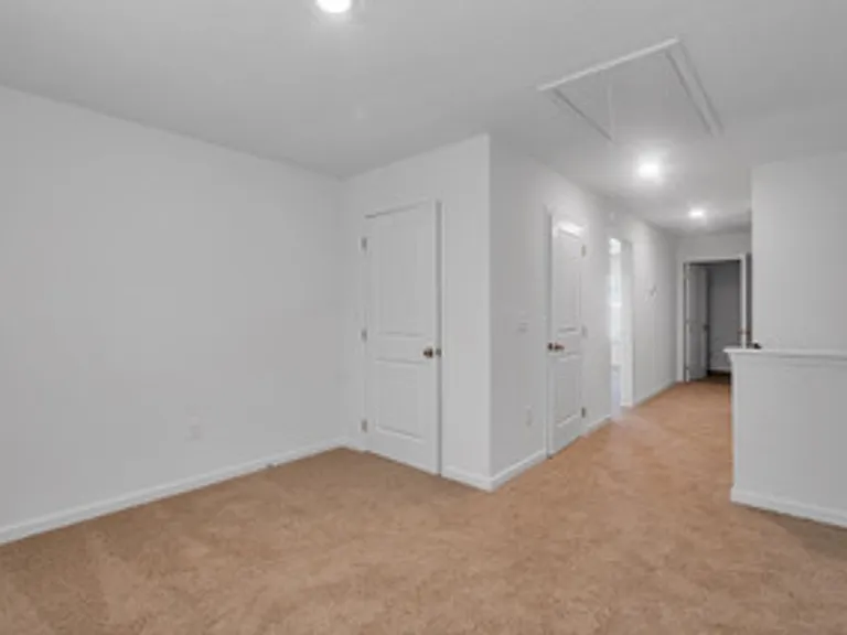 1025 Curly Top Ln — Photo 9