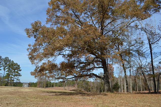 1st image of 4500 County Road 11