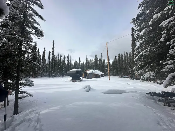 Nhn Willow Lot 8 Frostwoods Subdivision Plat #85-63, Tok, AK 99780